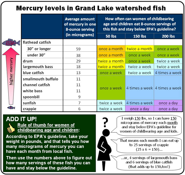 mercury levels in grand lake fish